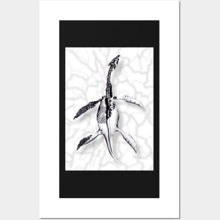 Plesiosaur Posters and Art